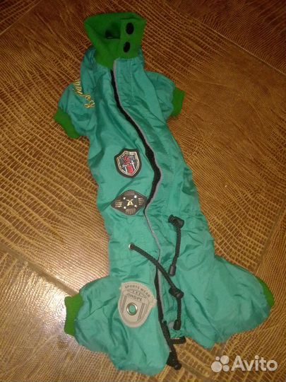 Зимний комбинезон для таксы карликовой