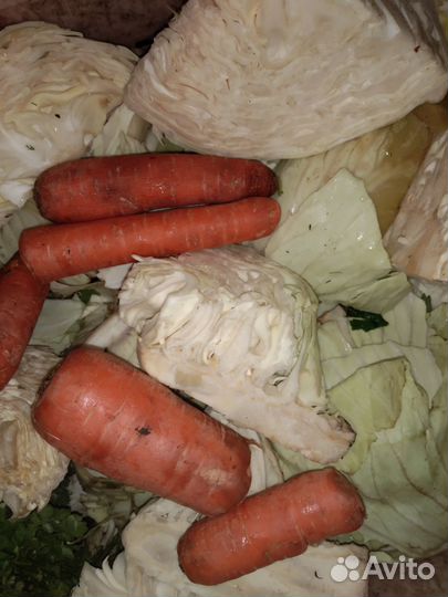 Корма для животных