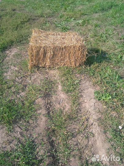 Сено в тюках и рулонах