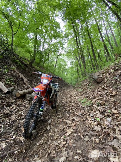 Avantis A5 LUX с птс