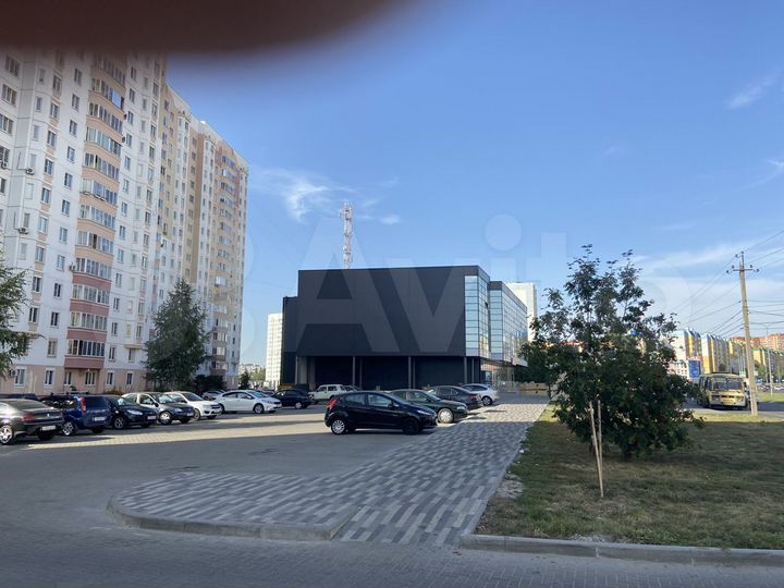 Торговая площадь, 1000 м²