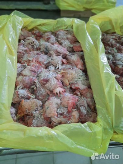 Куриные головы и ноги и шеи и фарш