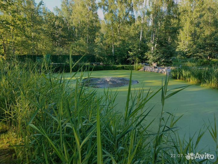 Сосновая кора с доставкой