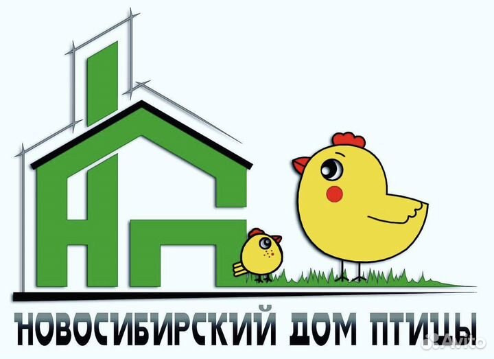 Утка бройлерная Агидель,Фаворит,Башкирка