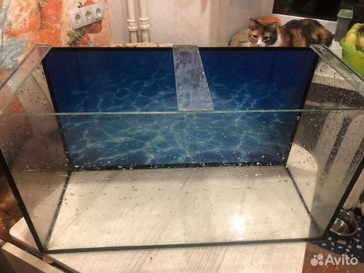 Аквариум