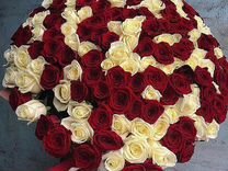 101 Роза Цветы Букеты Тюльпаны доставка 201 51 25