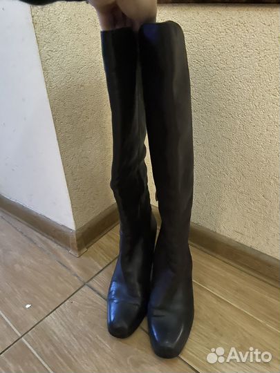 Сапоги еврозима