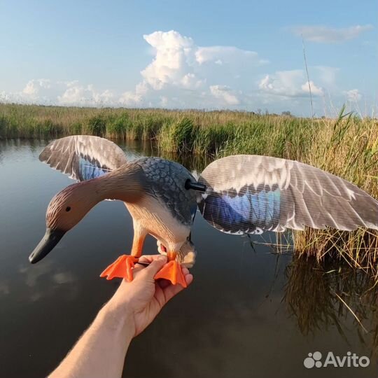 Махокрыл утка электромеханическая