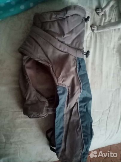 Одежда для собак