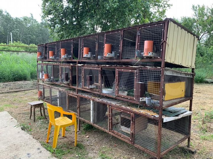 Дом 65,6 м² на участке 7 сот.