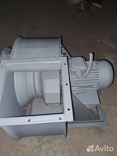 Радиальные улитки