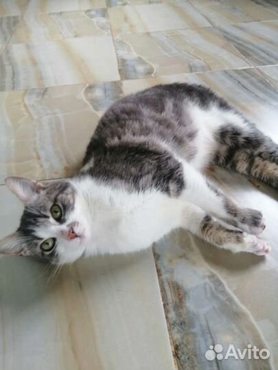 Малышке после травмы очень нужен дом