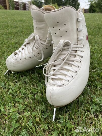 Фигурные коньки edea chorus 230