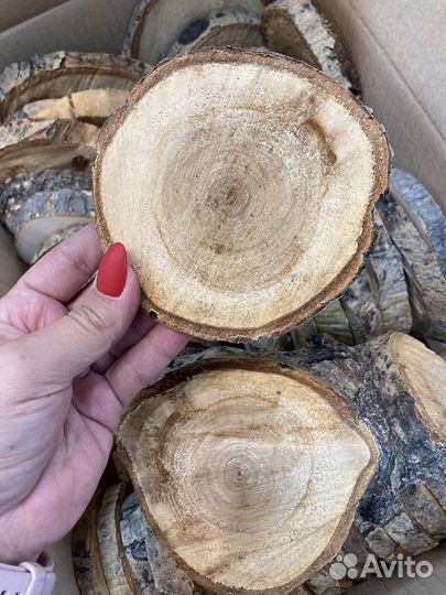 Спилы дерева тополя