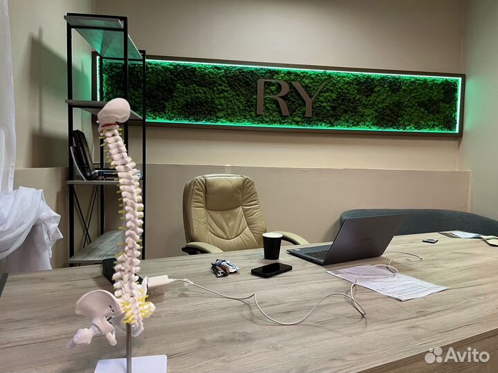 Логотип из стабилизированного мха