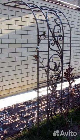 Цветы садовая арка пергола каркас