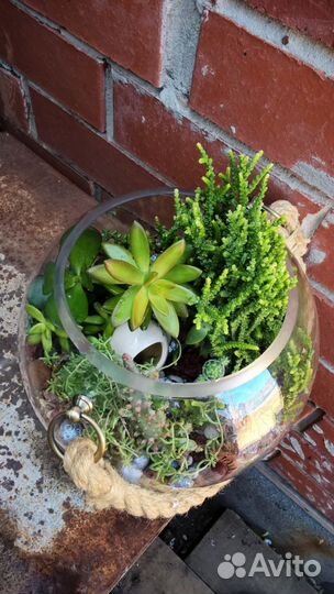 Флорариумы (цветочный сад)