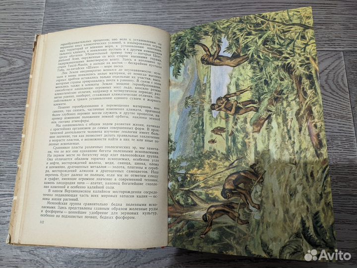 Яковлев - Рассказы о земле