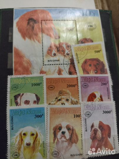 Почтовые марки животных