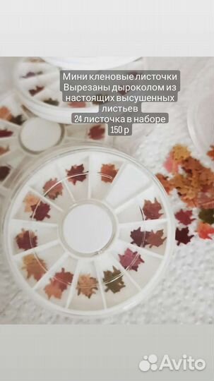 Плоская сныть, сухие цветы для творчества