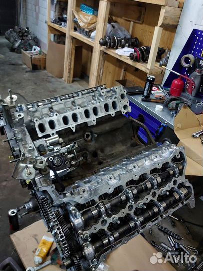 Двигатель 1vdftv / гарантия 50000км