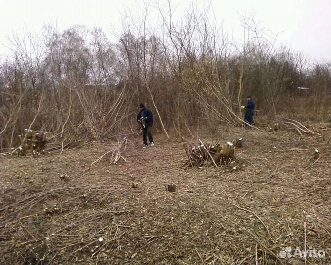 Уборка территорий/дачных участков/планировка