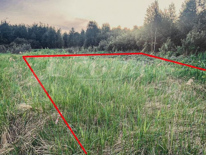 Участок 10 сот. (СНТ, ДНП)