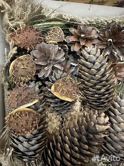 Природный материал для поделок набор