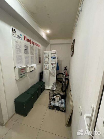 Ветеринарная клиника