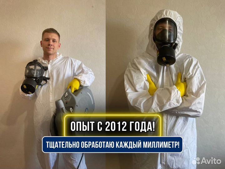 Уничтожение тараканов, клопов / Дезинфекция