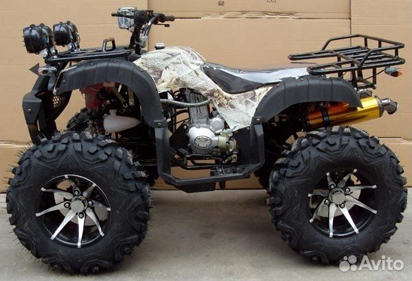 Grizzly 250 Limited