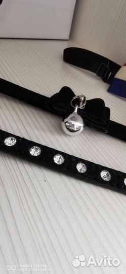 Ошейники для котёнка