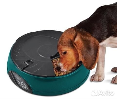 Автокормушки и автопоилки в наличии