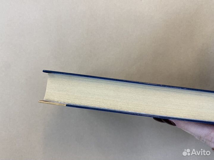 Некрасавица и чудовище Бруша Анна