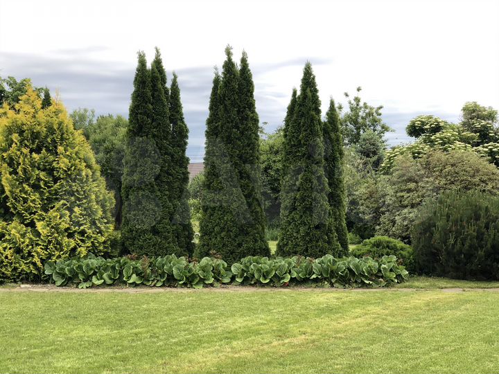 Дом 1013 м² на участке 2 га