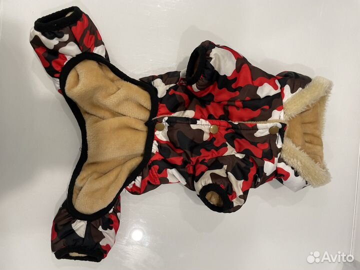 Одежда для собак мелких пород