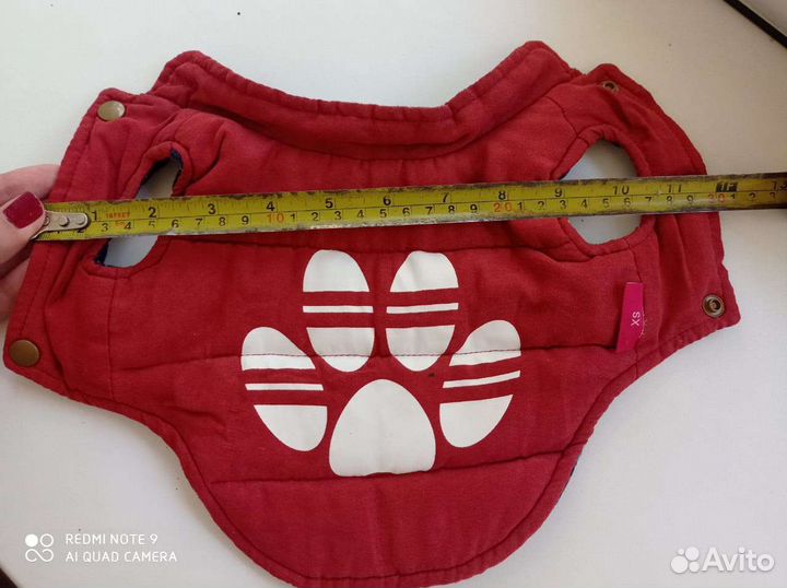 Одежда для собак