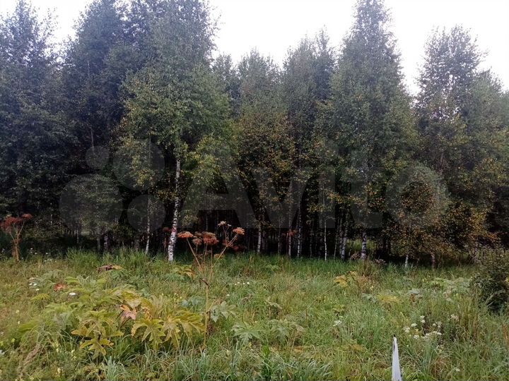 Участок 20 сот. (ИЖС)