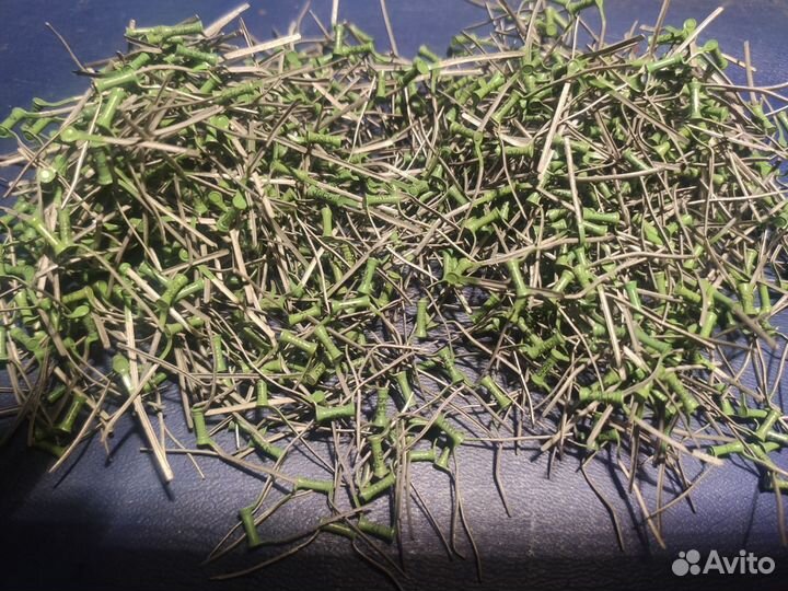 Резисторы вс