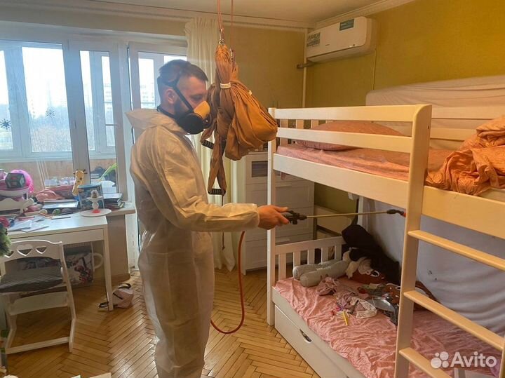 Дезинфекция Уничтожение клопов, тараканов, мышей