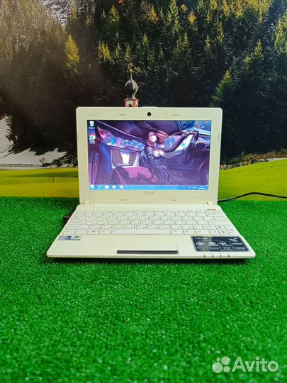 Быстренький нетбук Asus для работы и учёбы