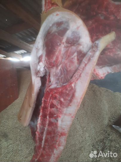 Мясо свинина домашняя