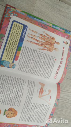 Энциклопедия школьника