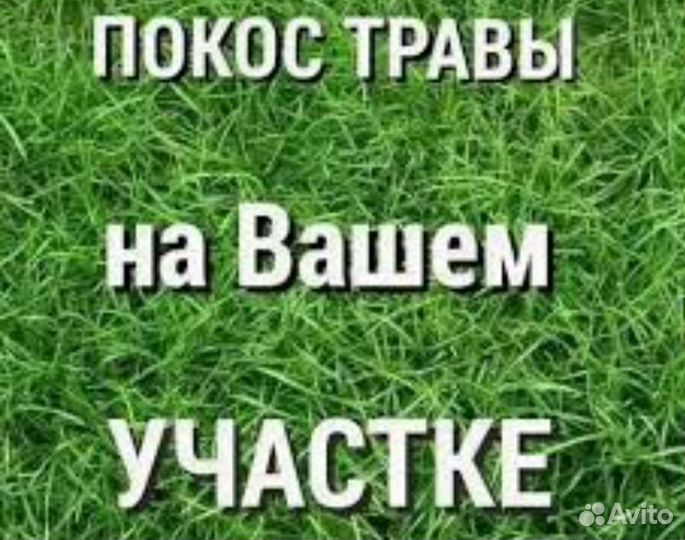 Покос травы тримером