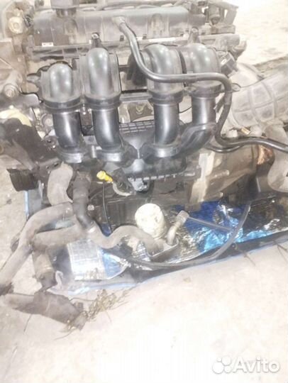 Двигатель форд фокус 2 1.6 115 л.с