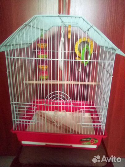 Клетка для попугая