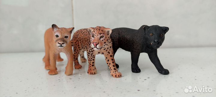 Дикие и домашние кошки разных фирм