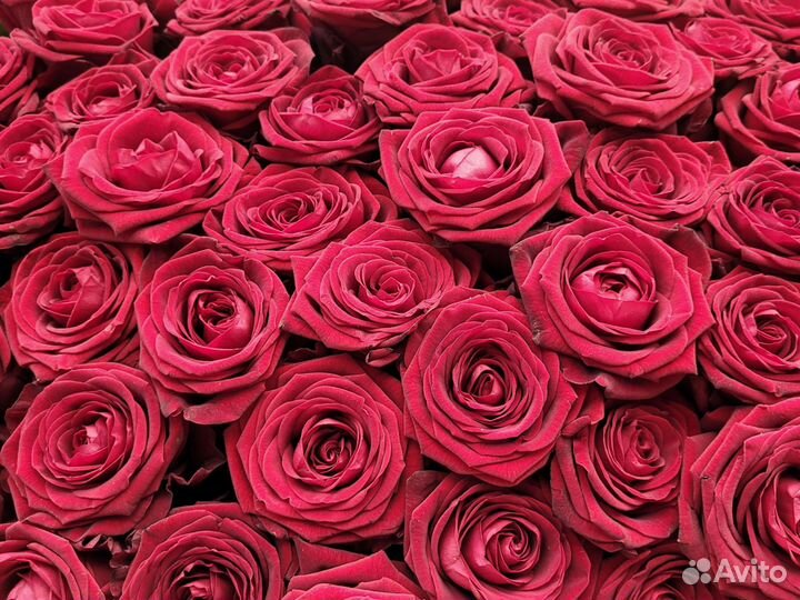 Доставка цветов и букетов