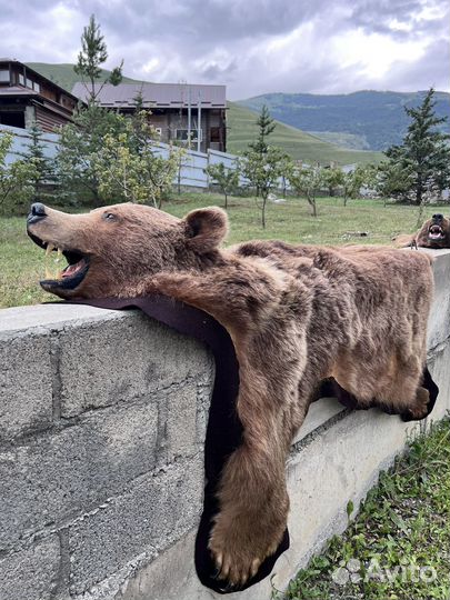 Шкура медведя имитация