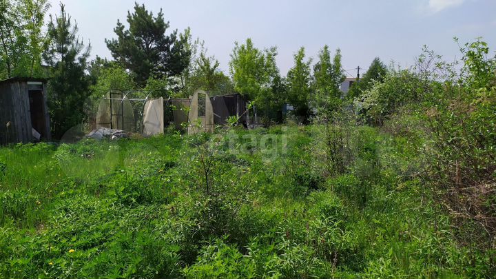 Участок 3,7 сот. (СНТ, ДНП)